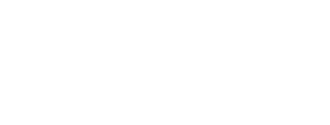 Neo V Roleplay